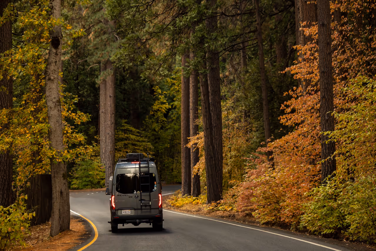 Una camioneta camper en un camino forestal bordeado de pinos y colores de otoño